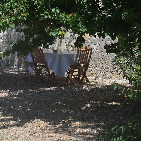 Gite Dans Le Vignoble De Bourgueil Le Port Boulet Exteriör bild