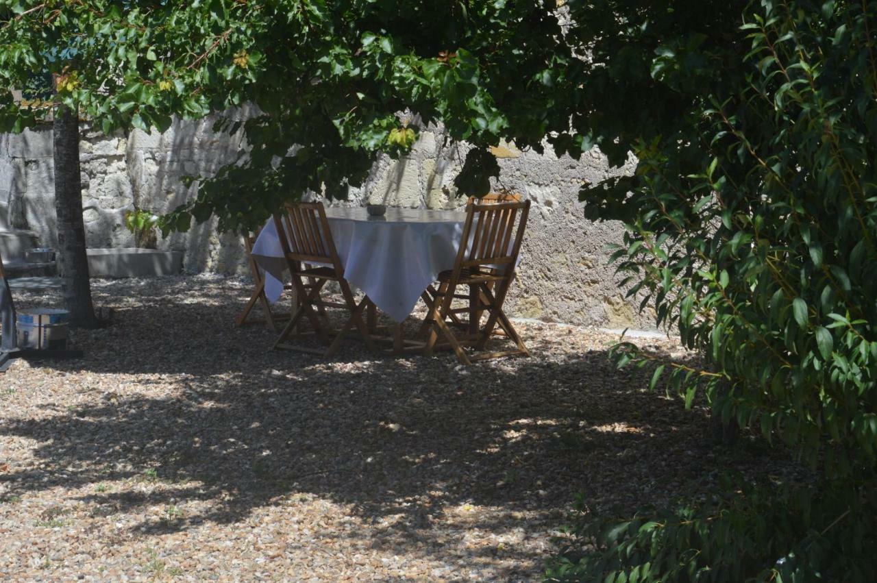 Gite Dans Le Vignoble De Bourgueil Le Port Boulet Exteriör bild