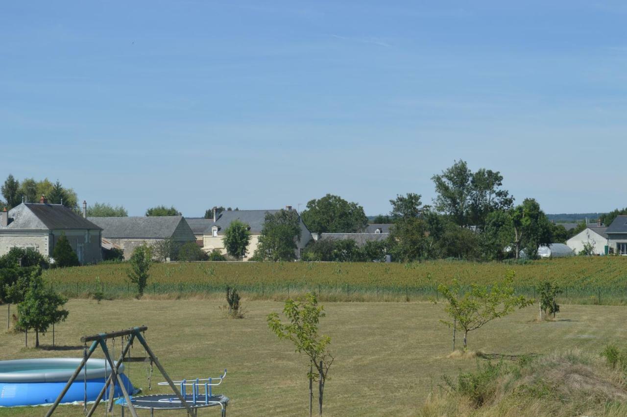 Gite Dans Le Vignoble De Bourgueil Le Port Boulet Exteriör bild