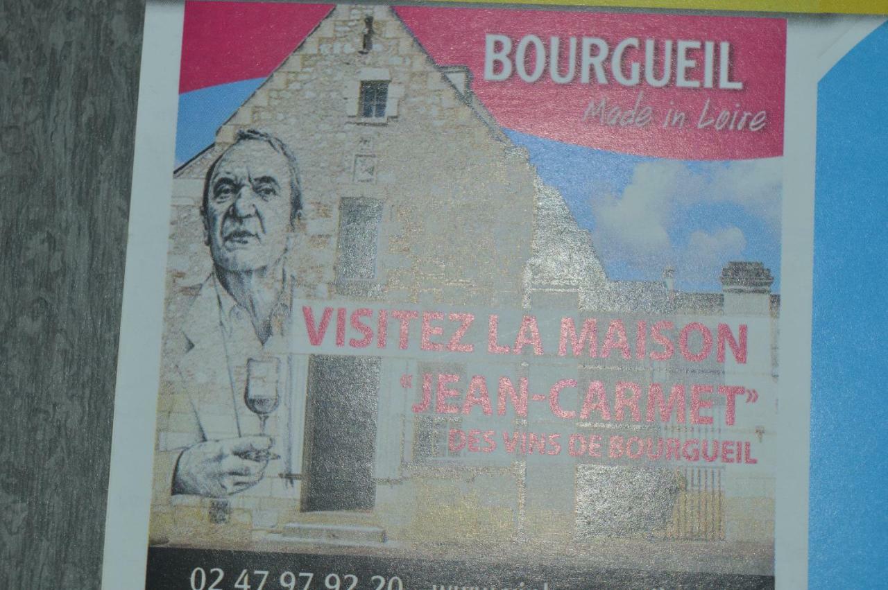 Gite Dans Le Vignoble De Bourgueil Le Port Boulet Exteriör bild
