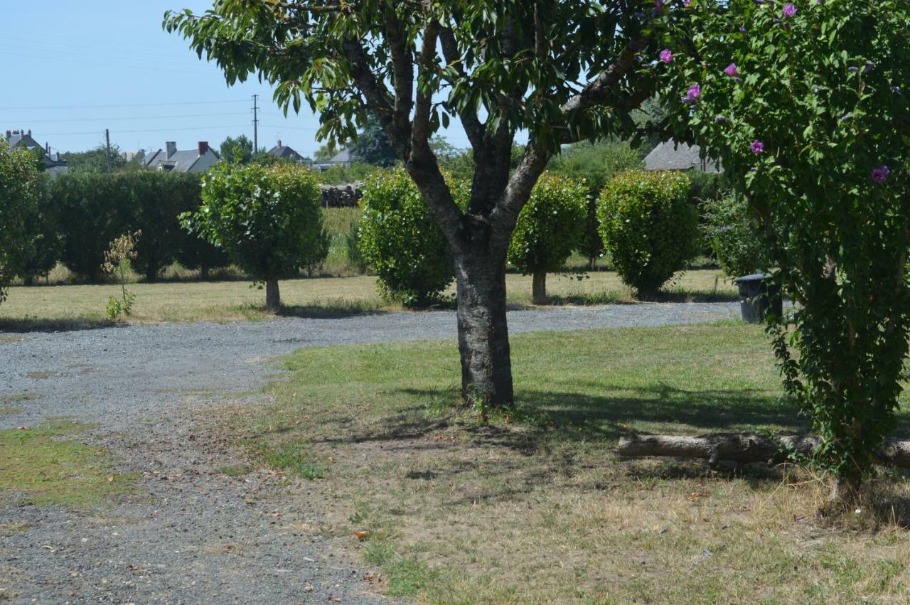 Gite Dans Le Vignoble De Bourgueil Le Port Boulet Exteriör bild