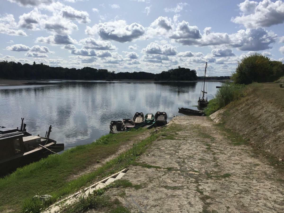 Gite Dans Le Vignoble De Bourgueil Le Port Boulet Exteriör bild