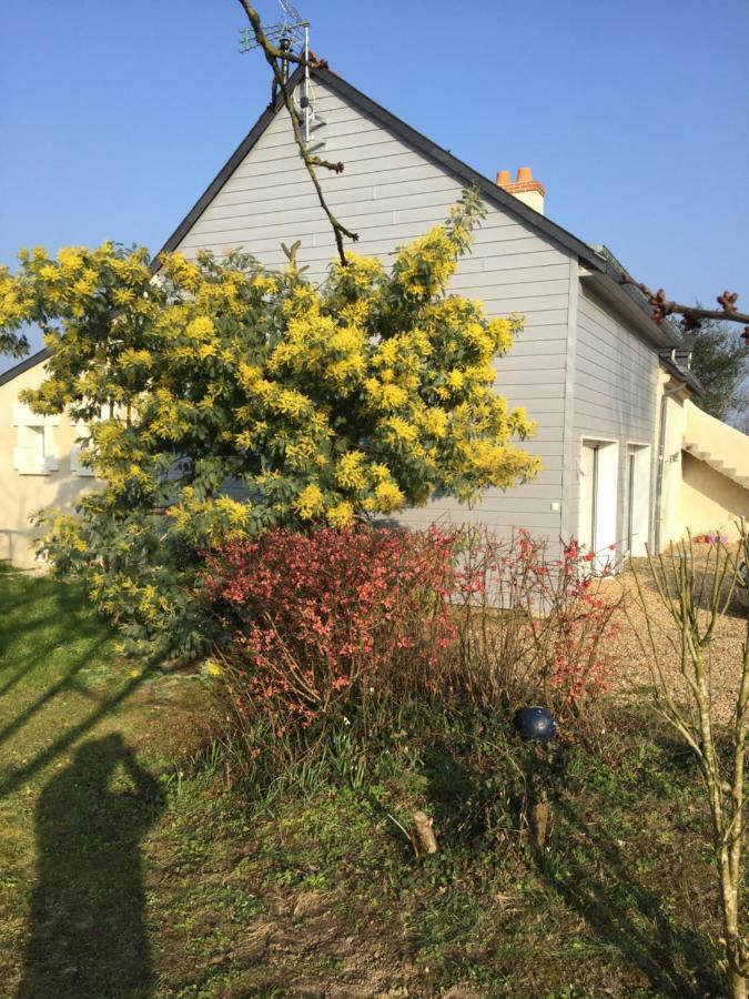 Gite Dans Le Vignoble De Bourgueil Le Port Boulet Exteriör bild